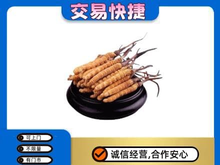 汾阳市回收冬虫夏草多少钱每克